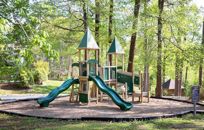 playground with trees in the background