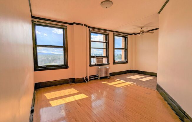 Studio, 1 bath, 257 sqft, $550, Unit 1002