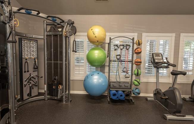 Stanford Heights strength training equipment