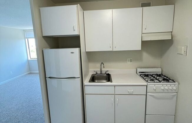 Studio, 1 bath, 405 sqft, $1,495, Unit 0110