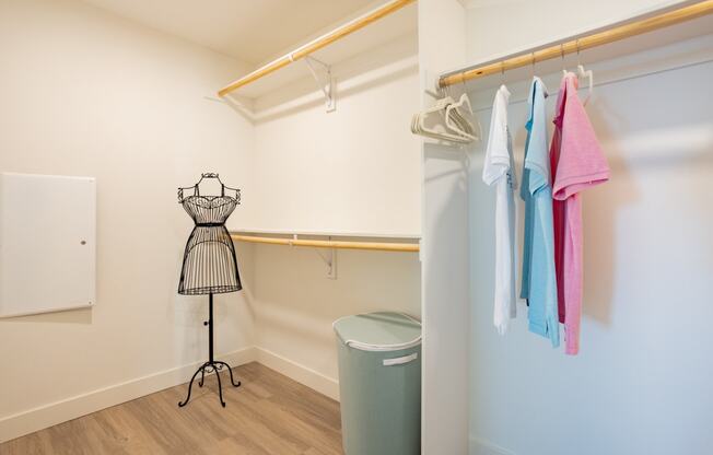 Large walk-in closet at The Chandler in North Hollywood