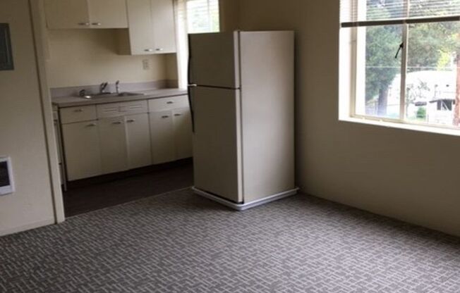 Studio, 1 bath, 348 sqft, $1,095, Unit 406A