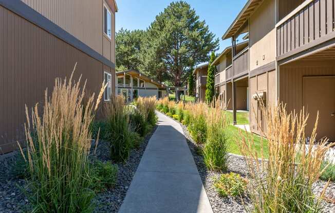 Exterior Building and Walkway