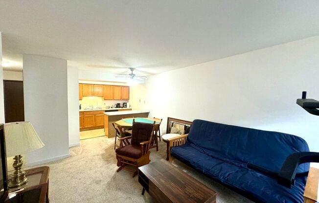 1 bed, 1 bath, $1,095, Unit 303