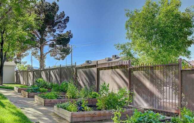 A garden with a fence and trees.