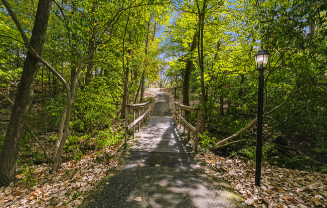 a path through the woods with a bridge and trees
