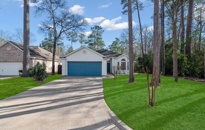 Beautiful just remodeled from top to bottom house in Lake Conroe