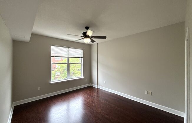 1 bed, 1 bath, $1,550