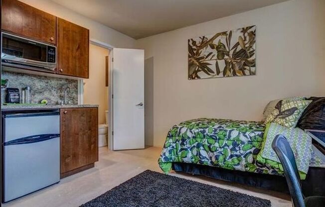 Studio, 1 bath, 154 sqft, $1,495, Unit 511