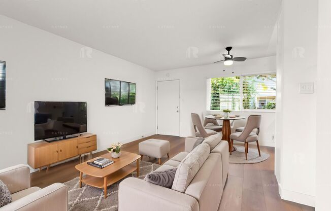 (Ellie:B) Park Collins