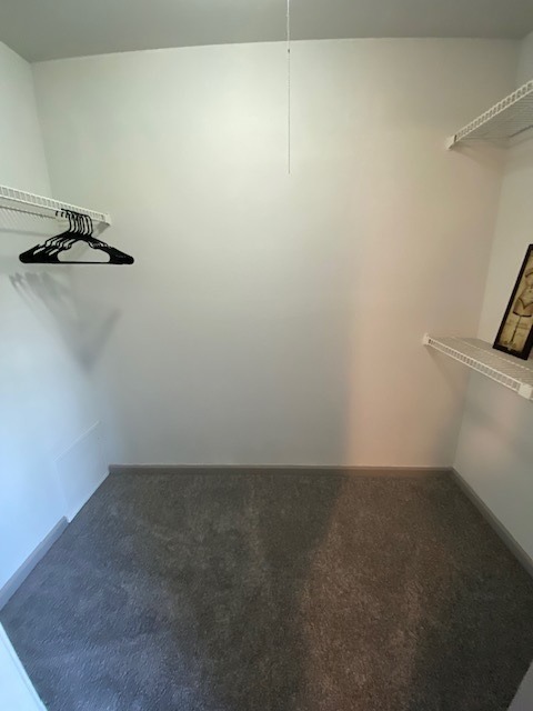 Walk-in Closet at Trailpoint at the Woodlands