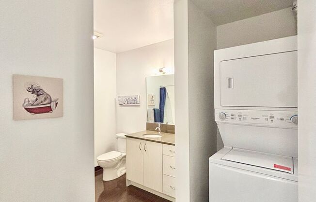 Studio, 1 bath, 547 sqft, $1,495, Unit 205