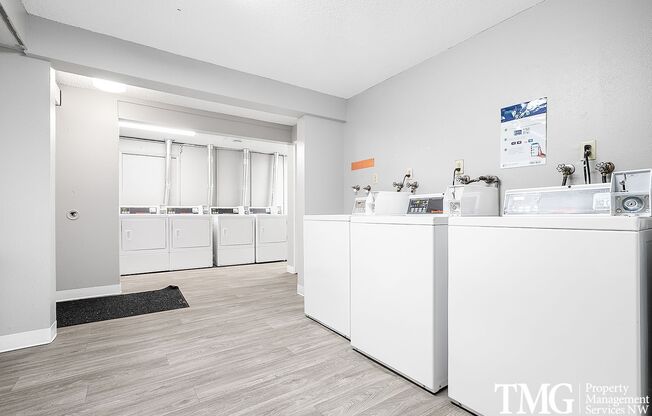 1 bed, 1 bath, 494 sqft, $1,250, Unit 31