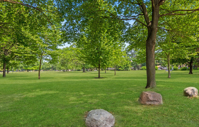 a grassy field with three large rocks in the foreground and trees in the background at Lafayette Park Place, Detroit, MI, Detroit, MI