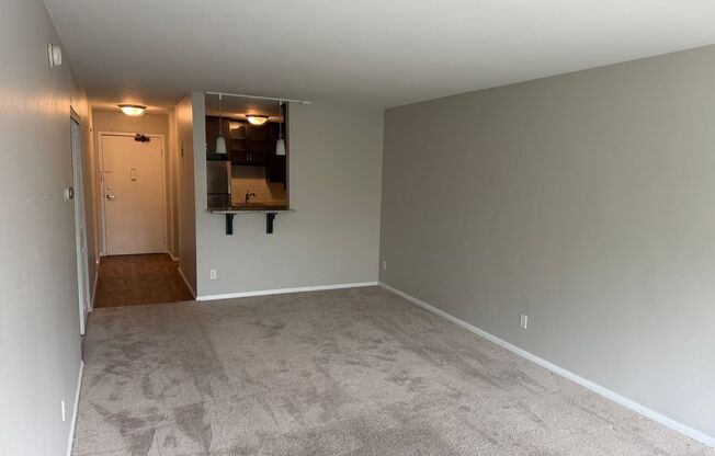 Studio, 1 bath, 470 sqft, $1,095, Unit 208 (R)