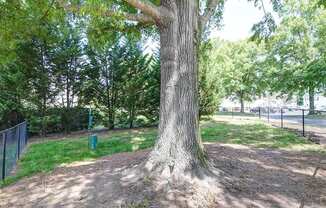 Courtyard at Timberstone, Charlotte, 28217