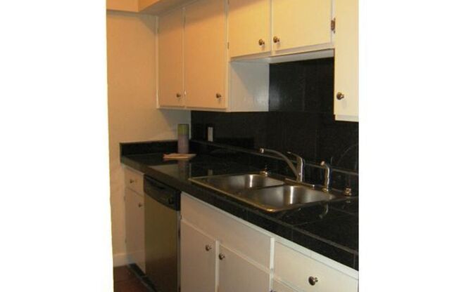 1 Bedroom Condo in the Heart of Austin