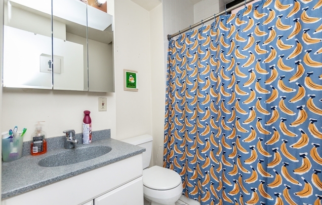 5 beds, 2 baths, 1,430 sqft, $9,499, Unit 4