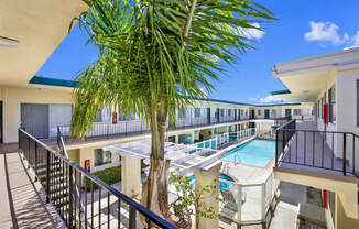 a balcony with a pool and a palm tree at Olive Tree Apartments, Torrance