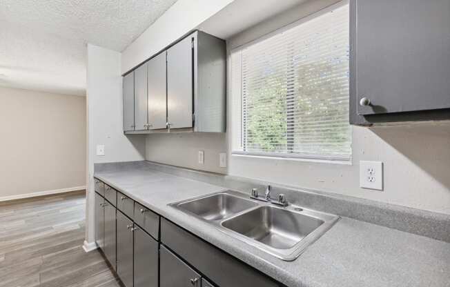 The Village at Wesley Chapel