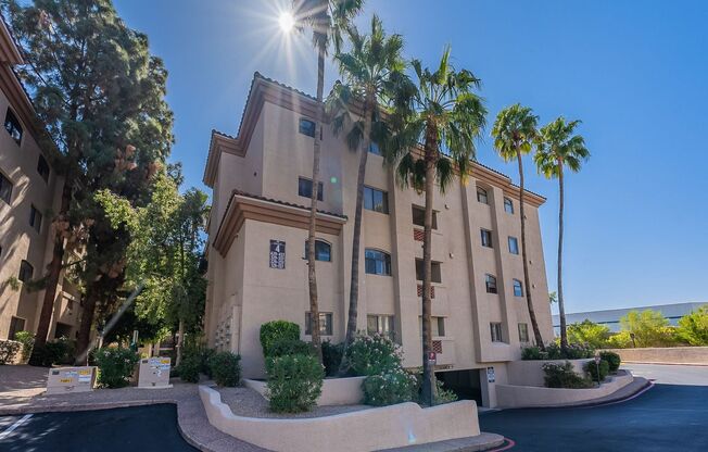 1 bed, 1 bath, $1,600, Unit #337