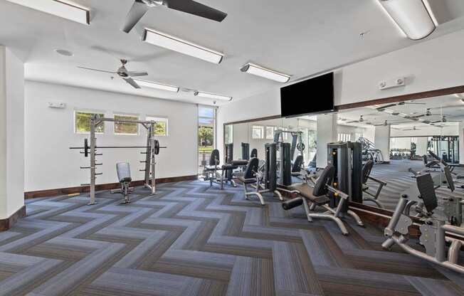 a gym with weights and cardio machines and a tv