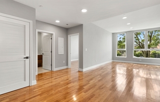 1 bed, 1 bath, 678 sqft, $2,500, Unit 203