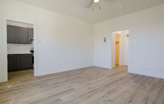 Studio, 1 bath, 475 sqft, $1,295