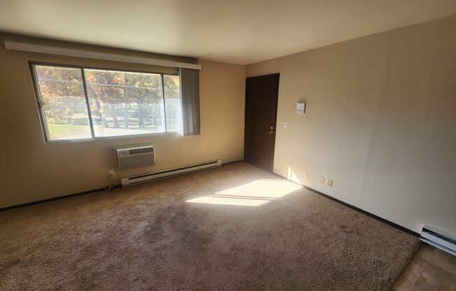 2 beds, 1 bath, $800