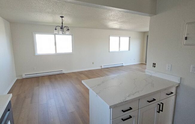 Remodeled - MOVE-IN SPECIAL - N Tacoma 2bed Apt Penthouse with rooftop deck