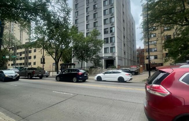 Studio, 1 bath, 500 sqft, $1,495, Unit 204