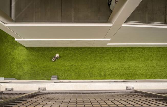 an overhead view of a room with green grass and a dog on the floor