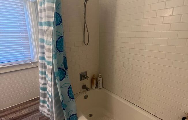 6 BR Home on Broadway with Pool, Available for Next School Year!