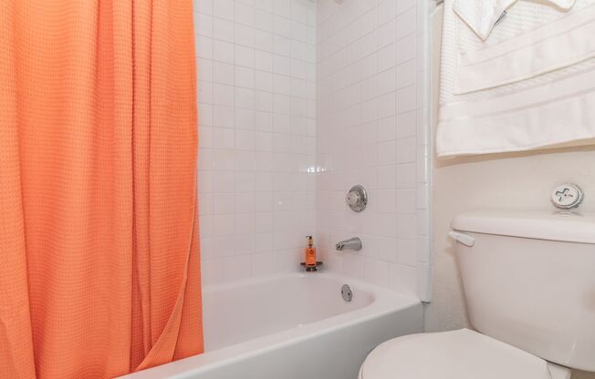 1 bed, 1 bath, 575 sqft, $1,095, Unit 389