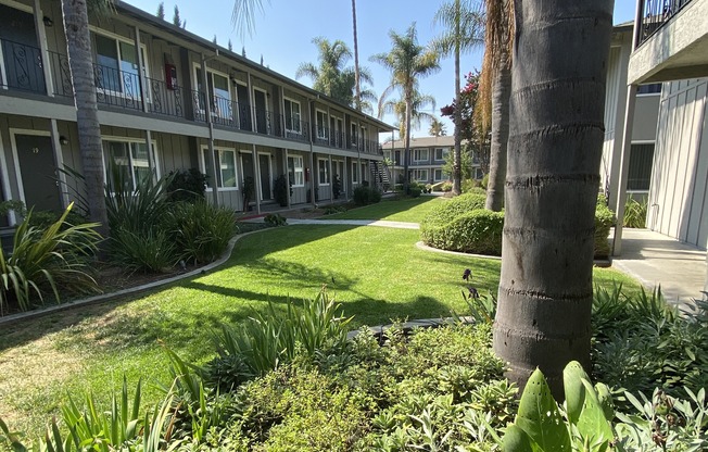 a courtyard with palm trees and plants in front of a building