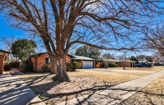 MOVE-IN SPECIAL: Beautifully Updated 3/2/2 Home Near Texas Tech
