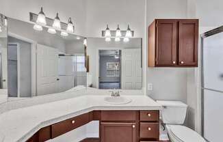 a bathroom with a sink and a toilet and a mirror