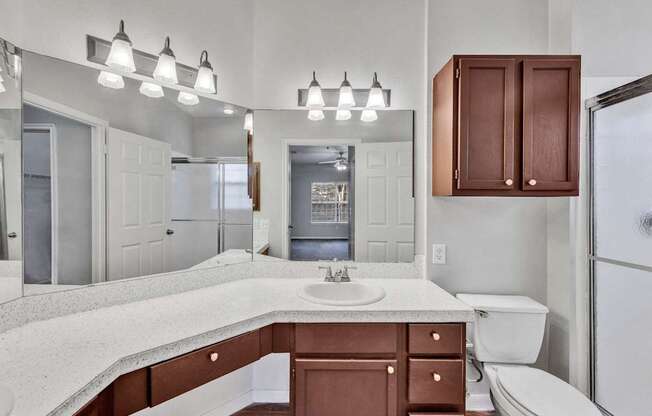 a bathroom with a sink and a toilet and a mirror