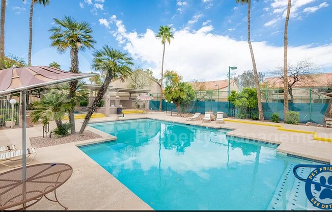 1287 North Alma School Road #284