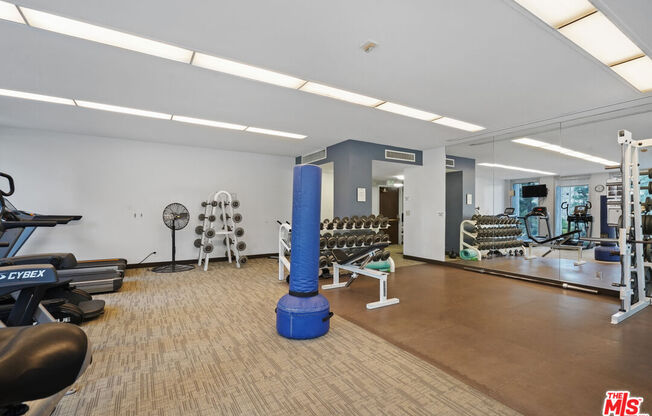 Studio, 1 bath, 481 sqft, $2,250, Unit 1409