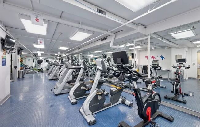 Studio, 1 bath, 420 sqft, $1,300, Unit 606
