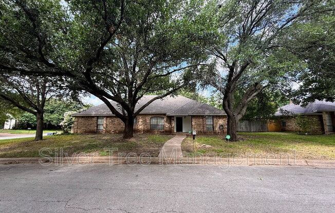 7716 PAMPAS DR