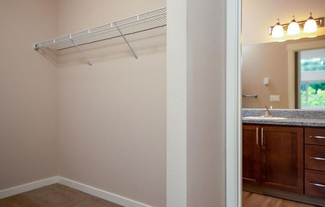 a bathroom with a shower and a sink and a mirror