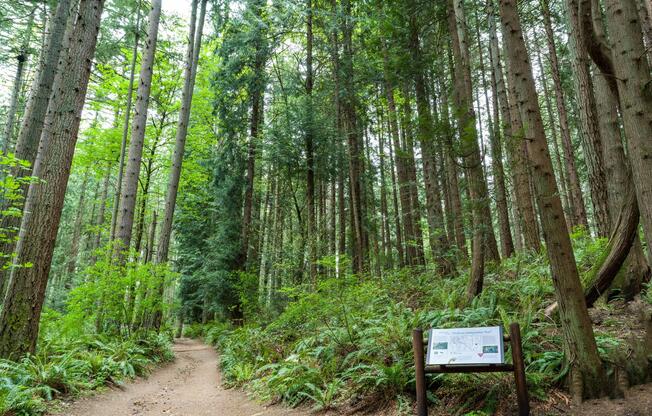 Moments from Bridle Trails State Park - offering quiet paths, tall evergreens, and easy access to outdoor recreation.