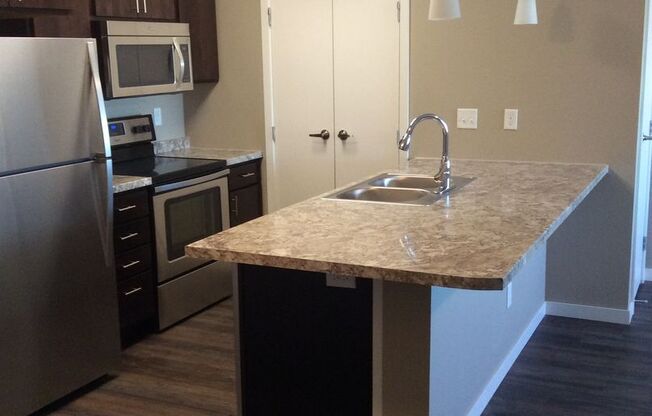 Studio, 1 bath, 789 sqft, $985, Unit 113