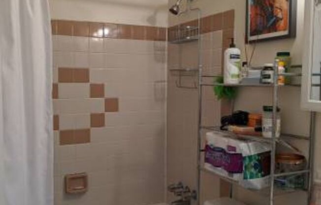 Studio, 1 bath, $1,129, Unit B07