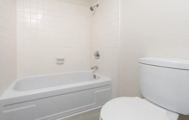 a bathroom with a toilet and a bath tub