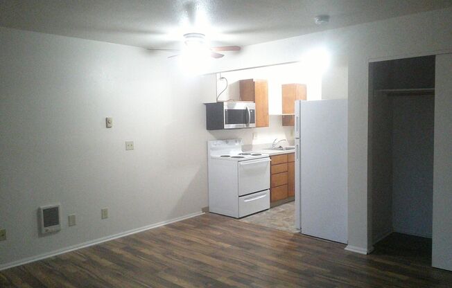 Studio, 1 bath, 400 sqft, $995, Unit 2057-07