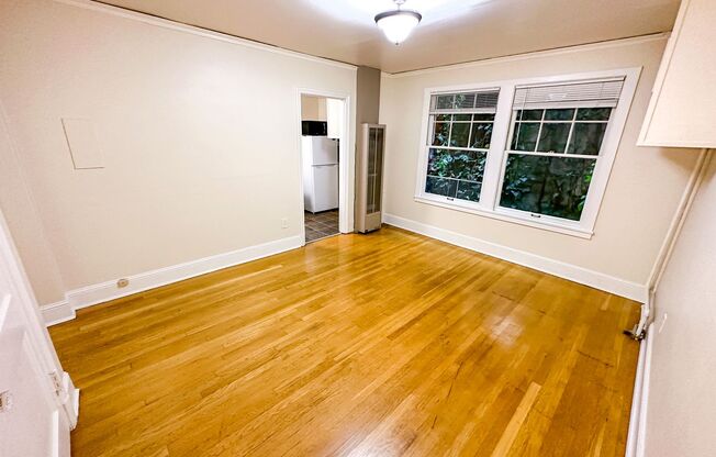 Studio, 1 bath, 365 sqft, $1,095, Unit 106