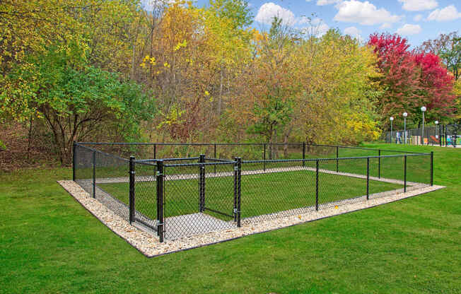 Gated Dog Park